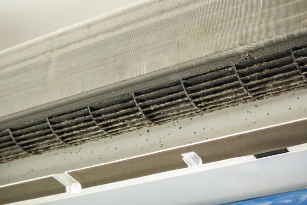 Best Affordable Air Duct Cleaning  in Raynham Center, MA